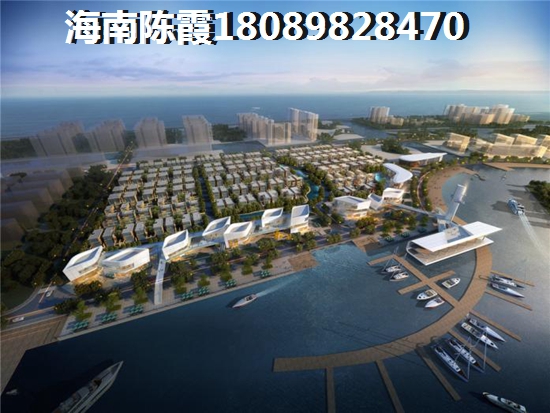 vtv代理拿货价格表