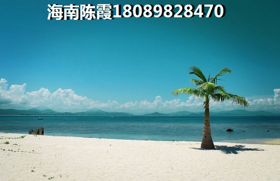 电视剧《我的娜塔莉》在线观看