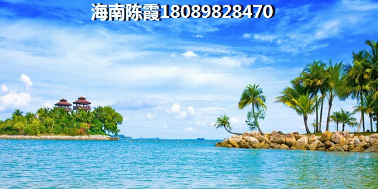 农林路菜鸟驿站