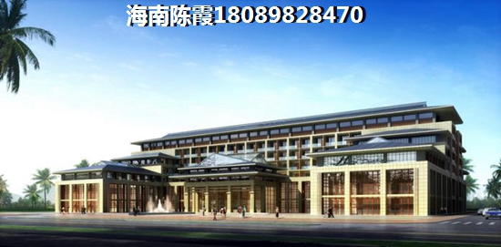 乐东龙栖湾发展前景