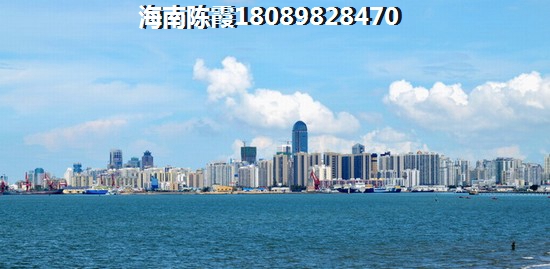 采枣叶茶