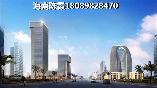 乐东龙栖湾发展前景