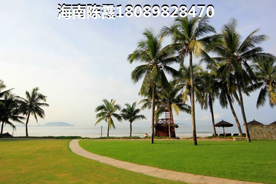海南乐东九所房价涨还是降？