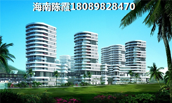 秋葵能烧鱼吗