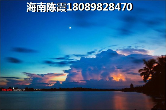 乐东九所新区房价走势图