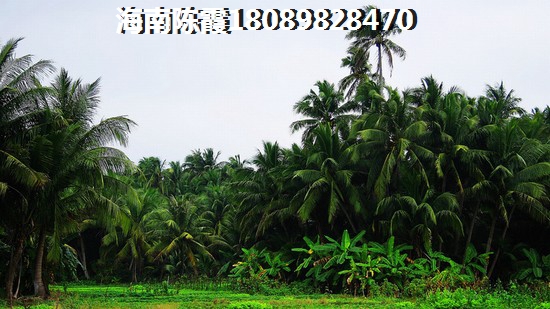 龙溪雅居给父母买房养老分析！