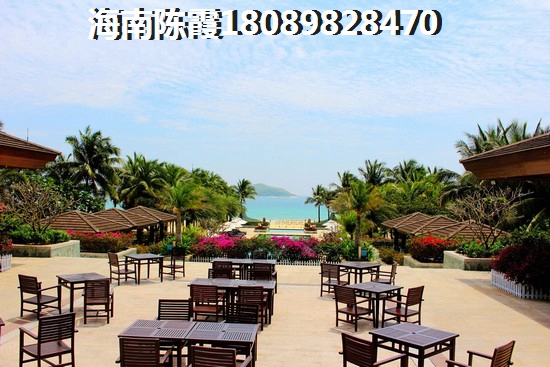 参谒是什么意思