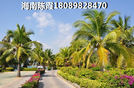 黄南州夜市小吃有哪些（黄南州自驾游攻略）