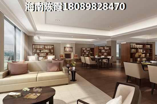 Spirit是什么动漫